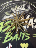 25mm TPE Urchin Bait (GreyDay)